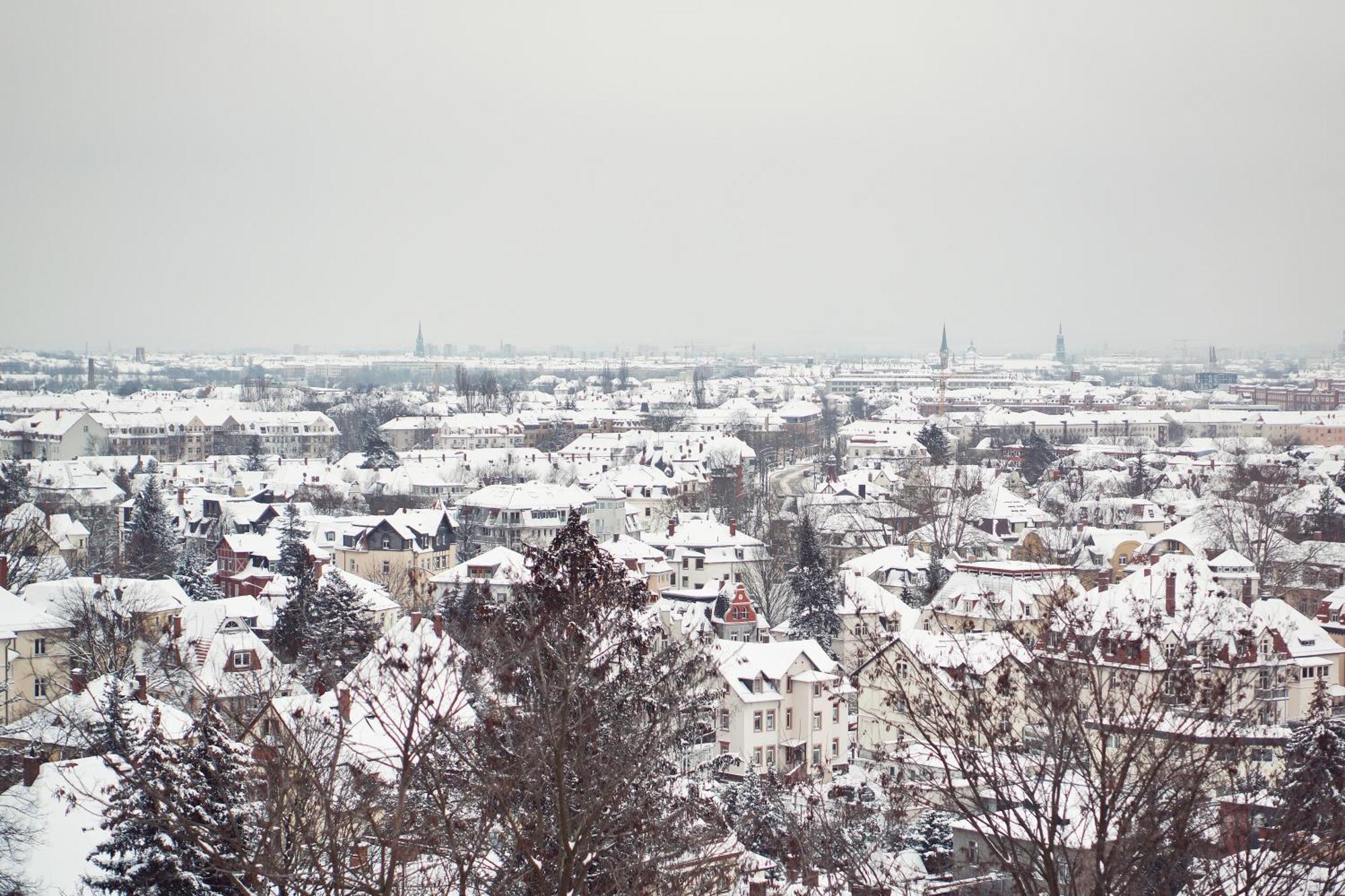 Bergwirtschaft Wilder Mann Hotel Und Restaurant Dresden Bagian luar foto